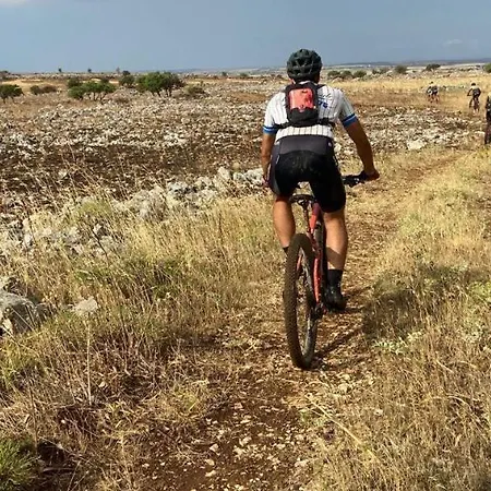 住宿加早餐酒店 Mandorla Amara