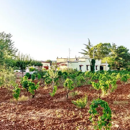 Mandorla Amara 乔亚德尔科尔