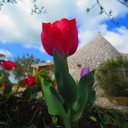 Bed & Breakfast Mandorla Amara Gioia Del Colle