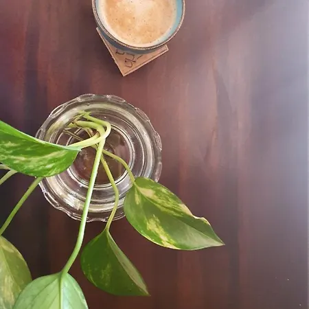 Mandorla Amara Panzió