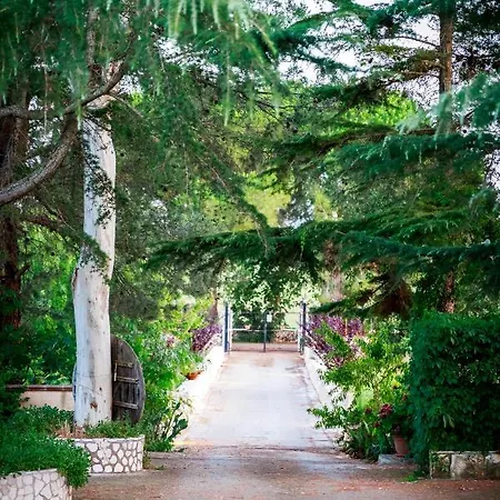 Mandorla Amara 4* Gioia del Colle