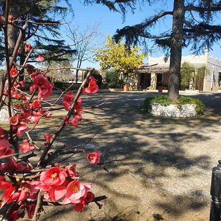 Mandorla Amara جويا ديل كولي