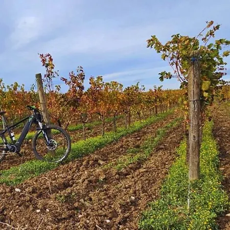 Bed & Breakfast Mandorla Amara 4*