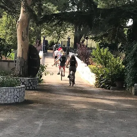 Mandorla Amara Bed & Breakfast Gioia Del Colle