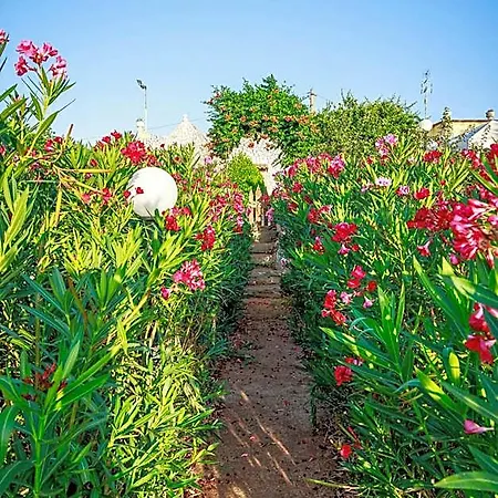 Mandorla Amara Bed & Breakfast