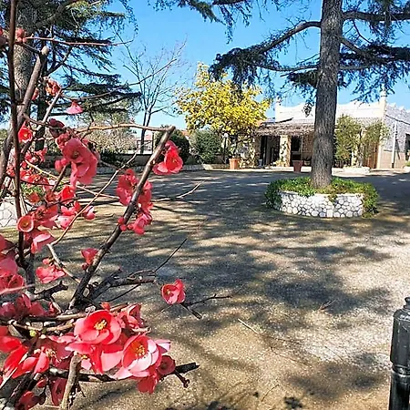 Mandorla Amara 4*