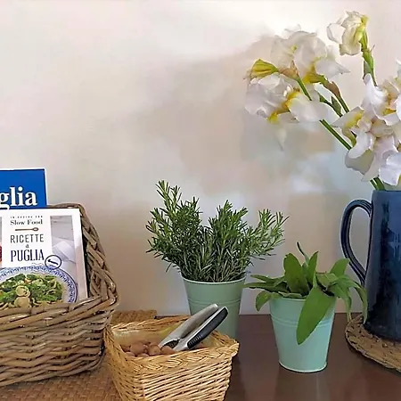 Mandorla Amara Frühstückspension