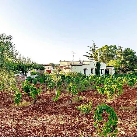Mandorla Amara 4* Gioia Del Colle