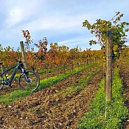 Mandorla Amara 4*