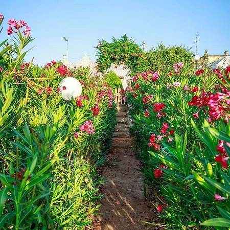 Mandorla Amara 4* Gioia del Colle